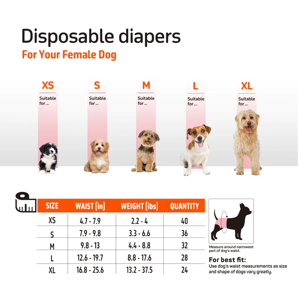 FOFOS Diaper Male Dog